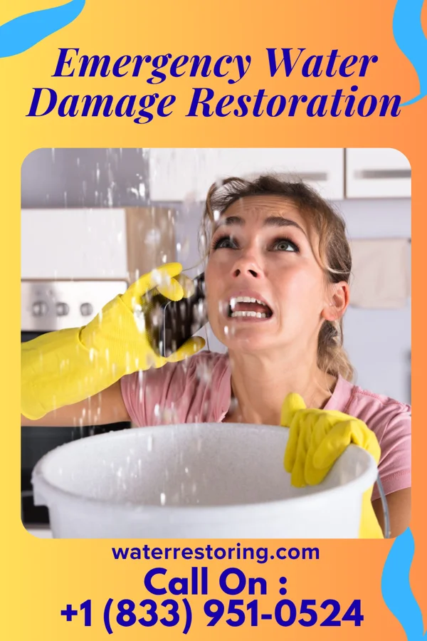 Emergency Water Damage Restoration in East Basin, UT